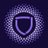 Paladin Blockchain Security logo