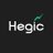 hegicoptions logo