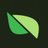 Pear Protocol logo