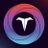 TorusChain logo