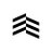 paytrie logo