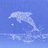 Dolphin logo
