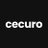 cecuroaudit logo