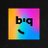 biq logo