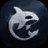 Orca logo