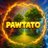 Pawtato logo