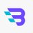 Branchlesspay logo