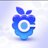 berryfibase logo