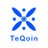 teqoin logo