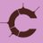 Callosum logo
